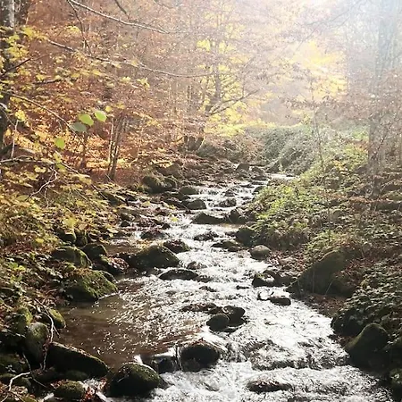 еко дивна - тетевенски балкан Vila