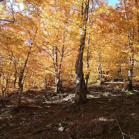 еко дивна - тетевенски балкан Villa Divchovoto