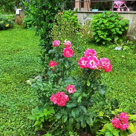 еко дивна - тетевенски балкан Divchovoto