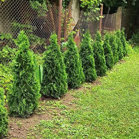 еко дивна - тетевенски балкан *