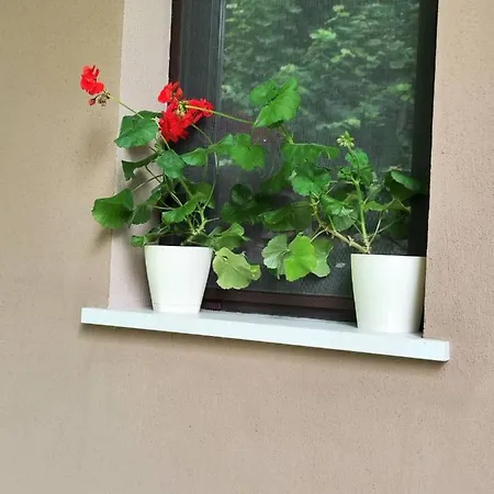 Villa еко дивна - тетевенски балкан Divchovoto