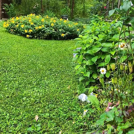 еко дивна - тетевенски балкан * Divchovoto