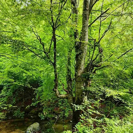 Villa еко дивна - тетевенски балкан