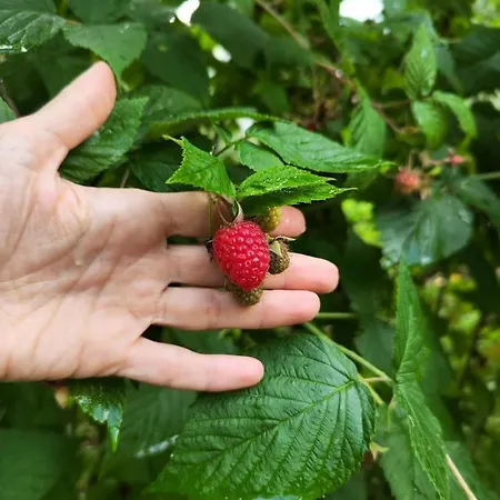 Villa еко дивна - тетевенски балкан