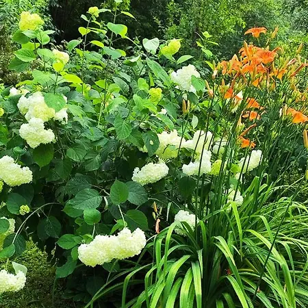 Villa еко дивна - тетевенски балкан *