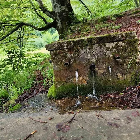 еко дивна - тетевенски балкан Villa Divchovoto