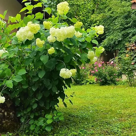 еко дивна - тетевенски балкан Divchovoto