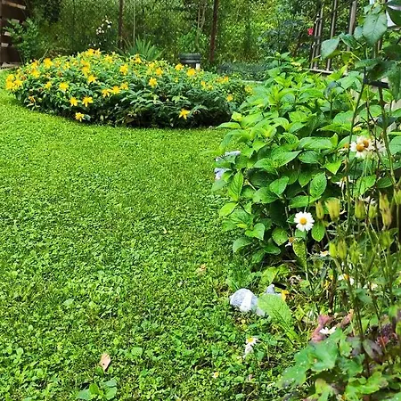 еко дивна - тетевенски балкан Villa *