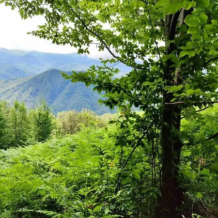 еко дивна - тетевенски балкан Divchovoto