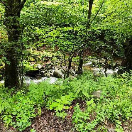 еко дивна - тетевенски балкан Villa *