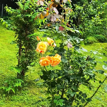 Villa еко дивна - тетевенски балкан Divchovoto