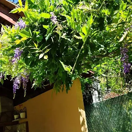 Villa еко дивна - тетевенски балкан