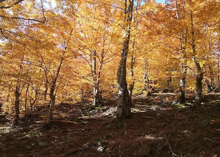 еко дивна - тетевенски балкан Villa Dicsovoto