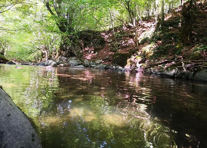 еко дивна - тетевенски балкан Dicsovoto