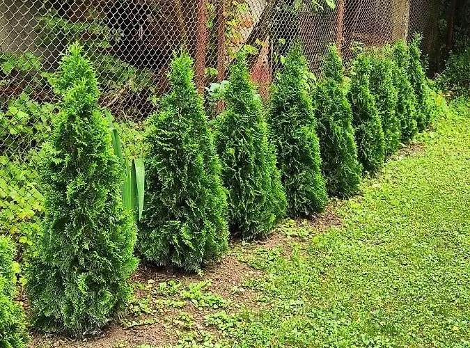 еко дивна - тетевенски балкан *