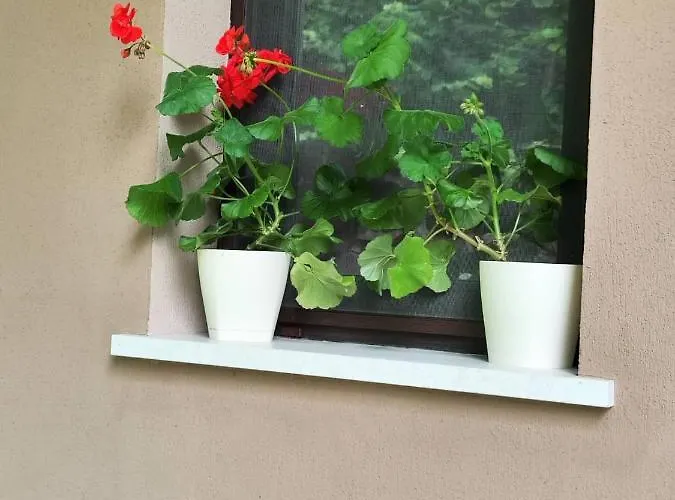 Villa еко дивна - тетевенски балкан Dicsovoto