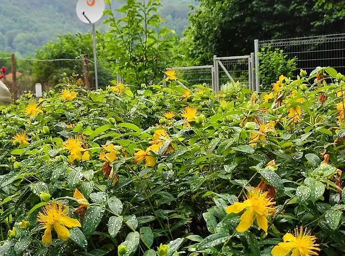 Villa еко дивна - тетевенски балкан