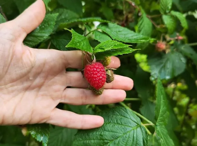 Villa еко дивна - тетевенски балкан