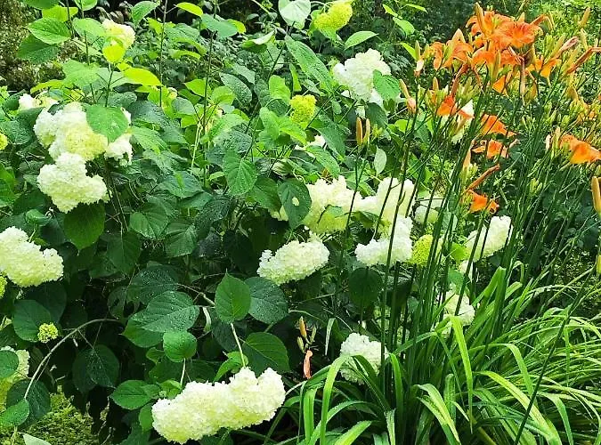 Villa еко дивна - тетевенски балкан *