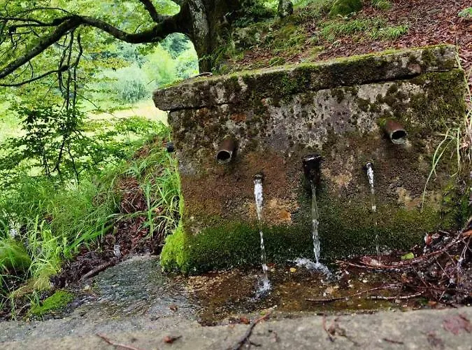 еко дивна - тетевенски балкан Villa Dicsovoto