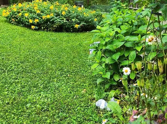 еко дивна - тетевенски балкан Villa *