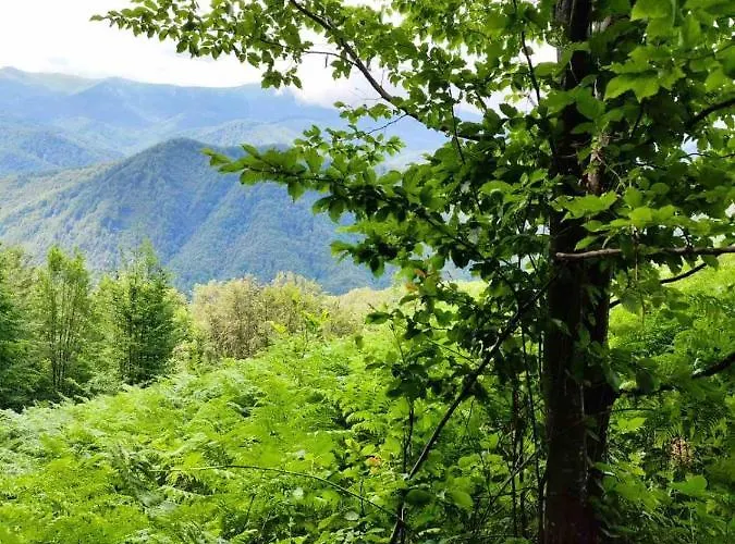 еко дивна - тетевенски балкан Dicsovoto